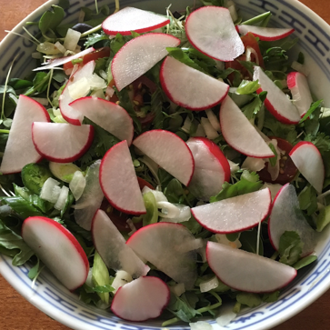 Pink Grapefruit Green Salad with Radishes